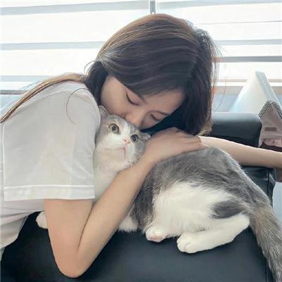 狡兔计划